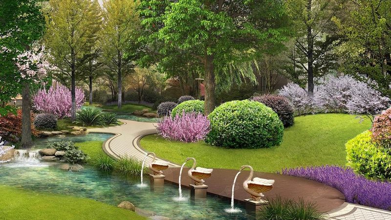 绿植租摆：种类、规格与参数全解析
