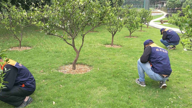 园林苗木种植报价包含运输吗？揭秘报价构成背后的秘密