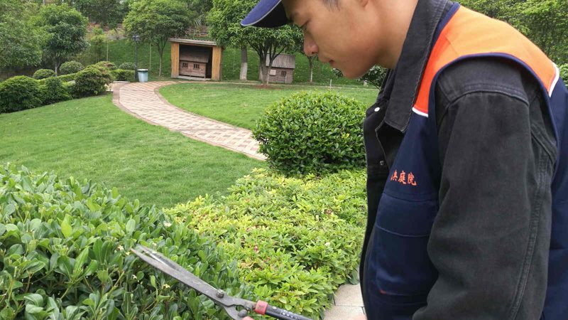边坡绿化养护：关键环节与专业选择**