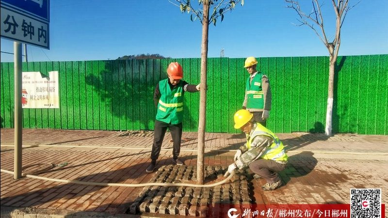 道路绿化养护公司报价，如何合理评估？**