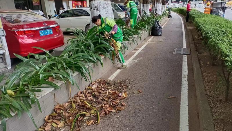 小区绿化养护，你真的了解标准规范吗？**