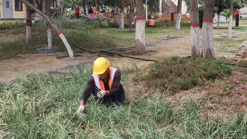 绿化资质办理：如何选择合适的项目规模与报价**