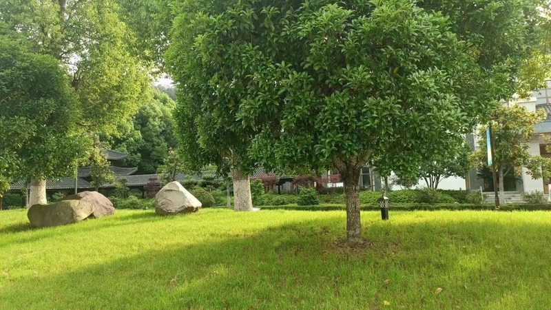 别墅花园石材拼花设计：如何打造个性与实用并存的景观空间